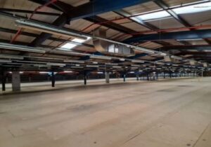 molo-services-work-1