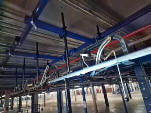 molo-services-work-5